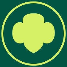 Team Page: Troop 54184